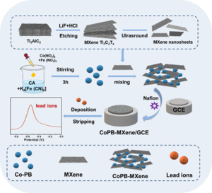 Portable Electrochemical Sensor Designed for Lead Ion Detection