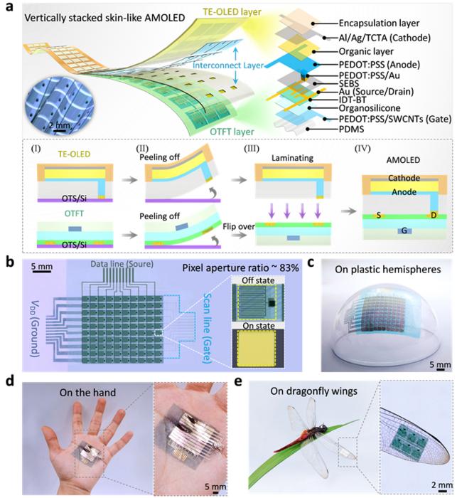 Figure 1 | Constructing a vertically stacked skin-like AMOLED display array