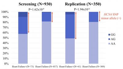 HCN4 and Heart Failure