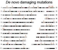 De novo Damaging Mutations
