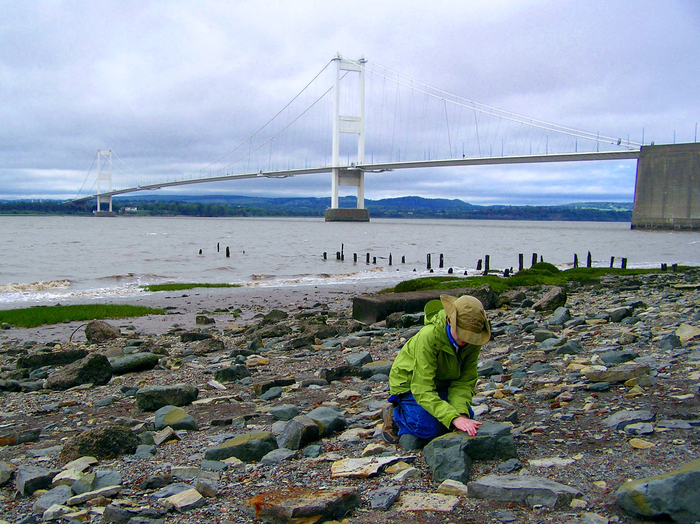 Severn River sampling site