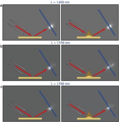 Miniature 'Carpet Cloak'