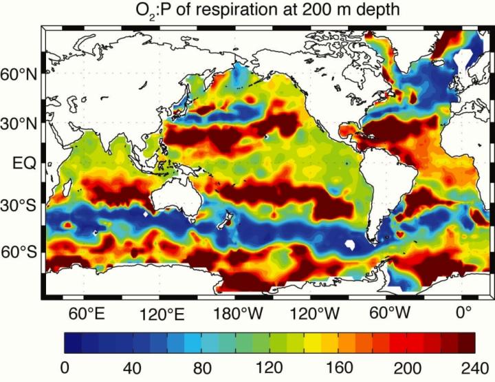 Map of the O2:P Ratio of Microbial Respiration at a 200-Meter Depth in the Ocean