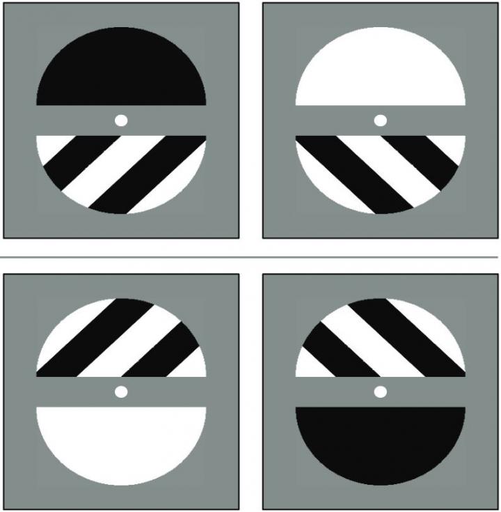 Complex Images Used in Visual Perception Experiments