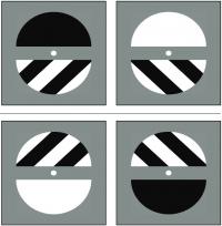 Complex Images Used in Visual Perception Experiments