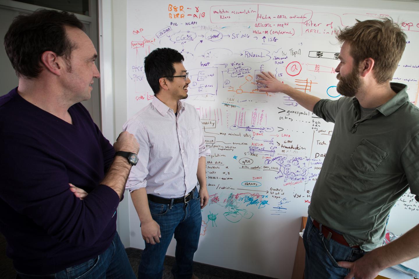 Viral Invaders in Our DNA May Help Us Fight Infections