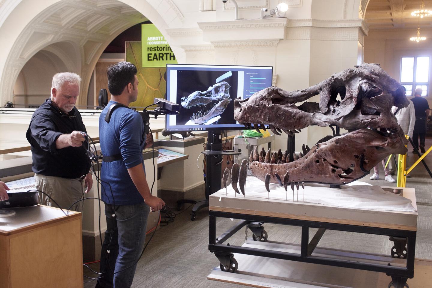 Scanning <em>T. rex</em>