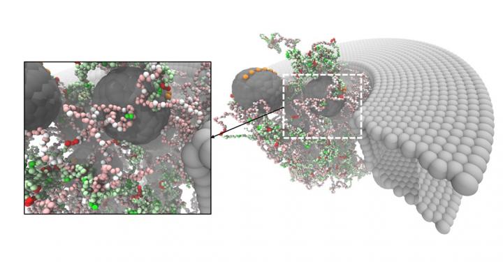 Simulation of the 'designed' pore with NupX