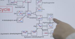 Hasunuma-Artepillin_C-Pathway