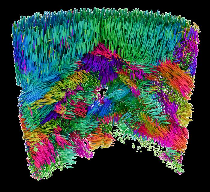 X-ray Linear Dichroic Orientation Tomography allows the mapping of ordered material structures at the nanoscale, giving new insights into material functionality.