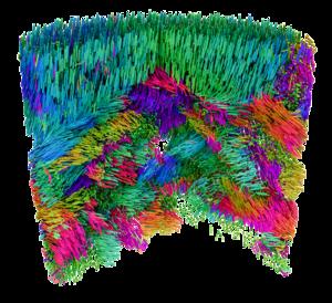 X-ray Linear Dichroic Orientation Tomography allows the mapping of ordered material structures at the nanoscale, giving new insights into material functionality.