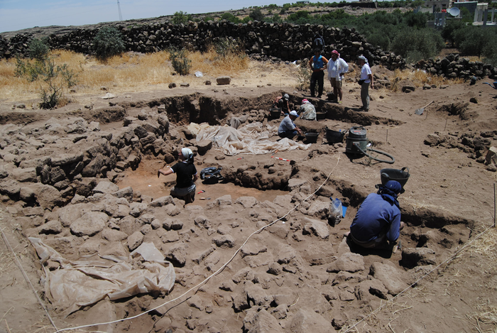 Excavations at Tell Qarassa