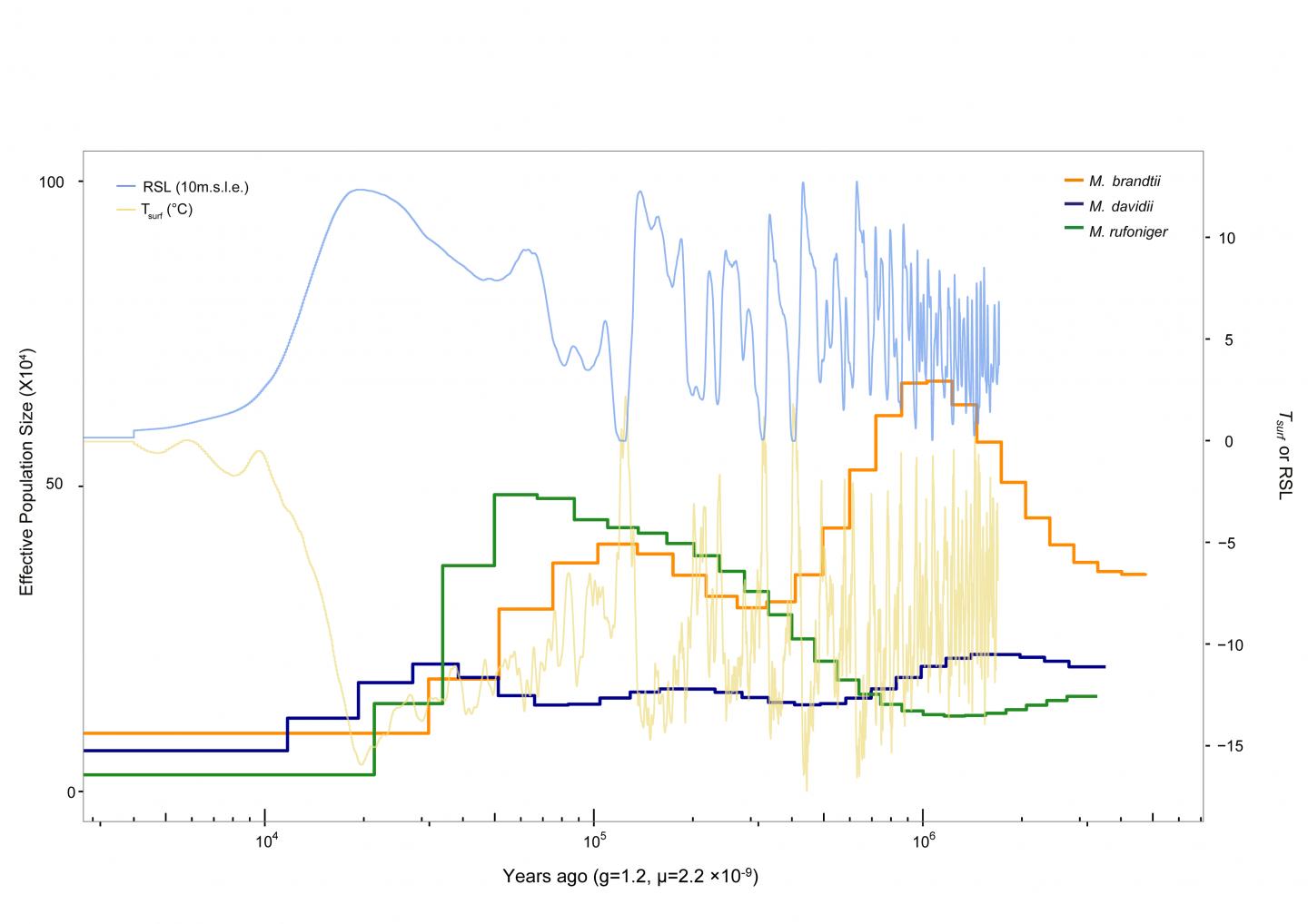 Demographic History