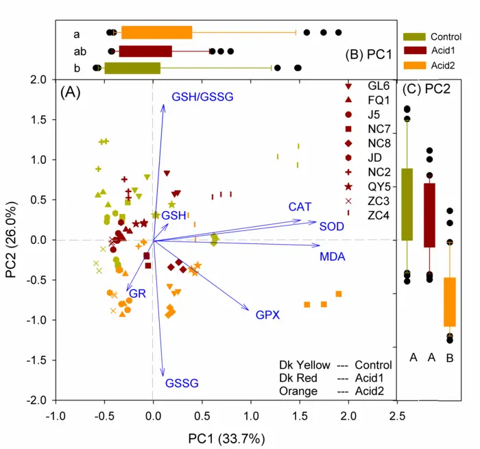 Result visualization of principal component analysis on the antioxidative system under acid treatments.