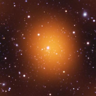 The Phoenix Cluster