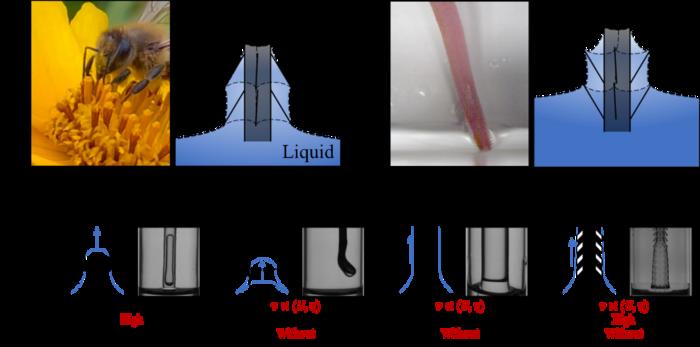 Liquid entrained by rod with arrayed millimetric structures