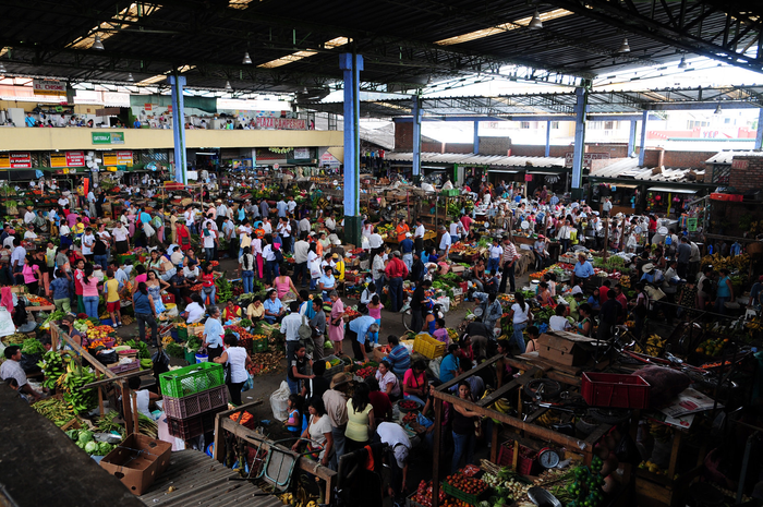 Food systems are a major contributor to biodiversity loss and climate change