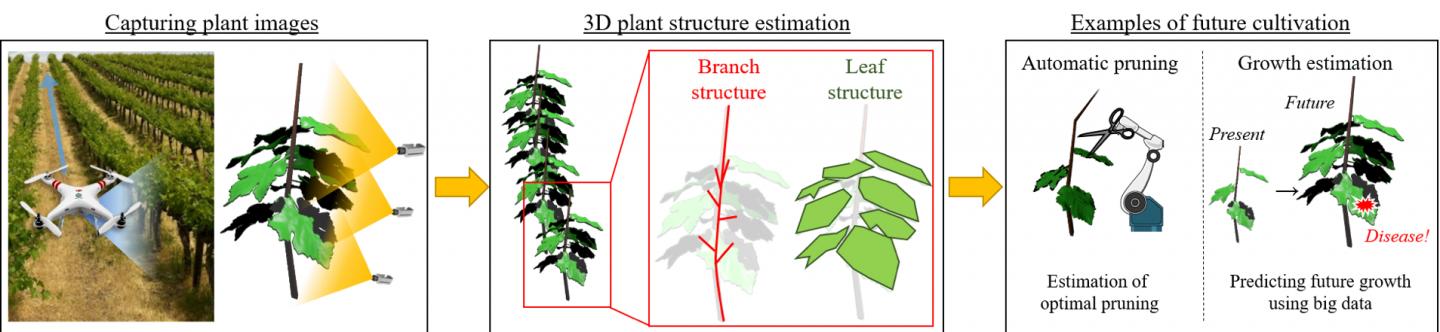 Fig.3 Future Cultivation via Plant Structure Estimation