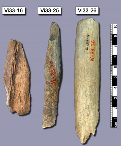 Neandertal Genome Sequenced (4 of 9)