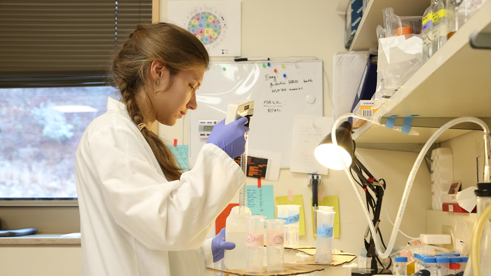 Sofya Polyanskaya in the lab of CSHL Professor Christopher Vakoc.