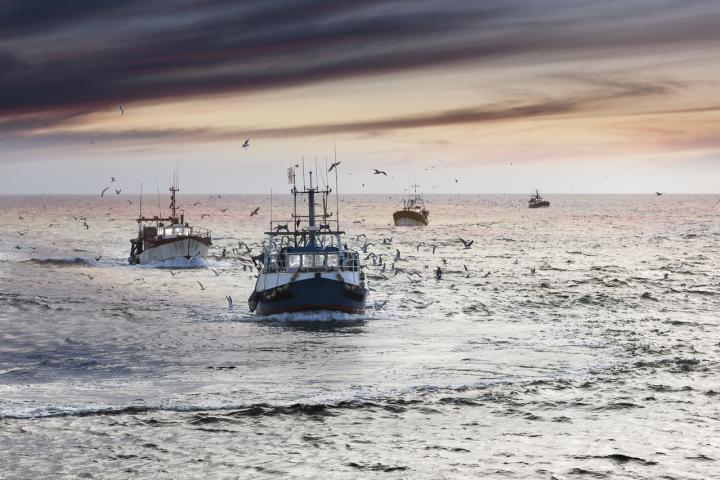 Barcos de pesca bajo un cielo nublado