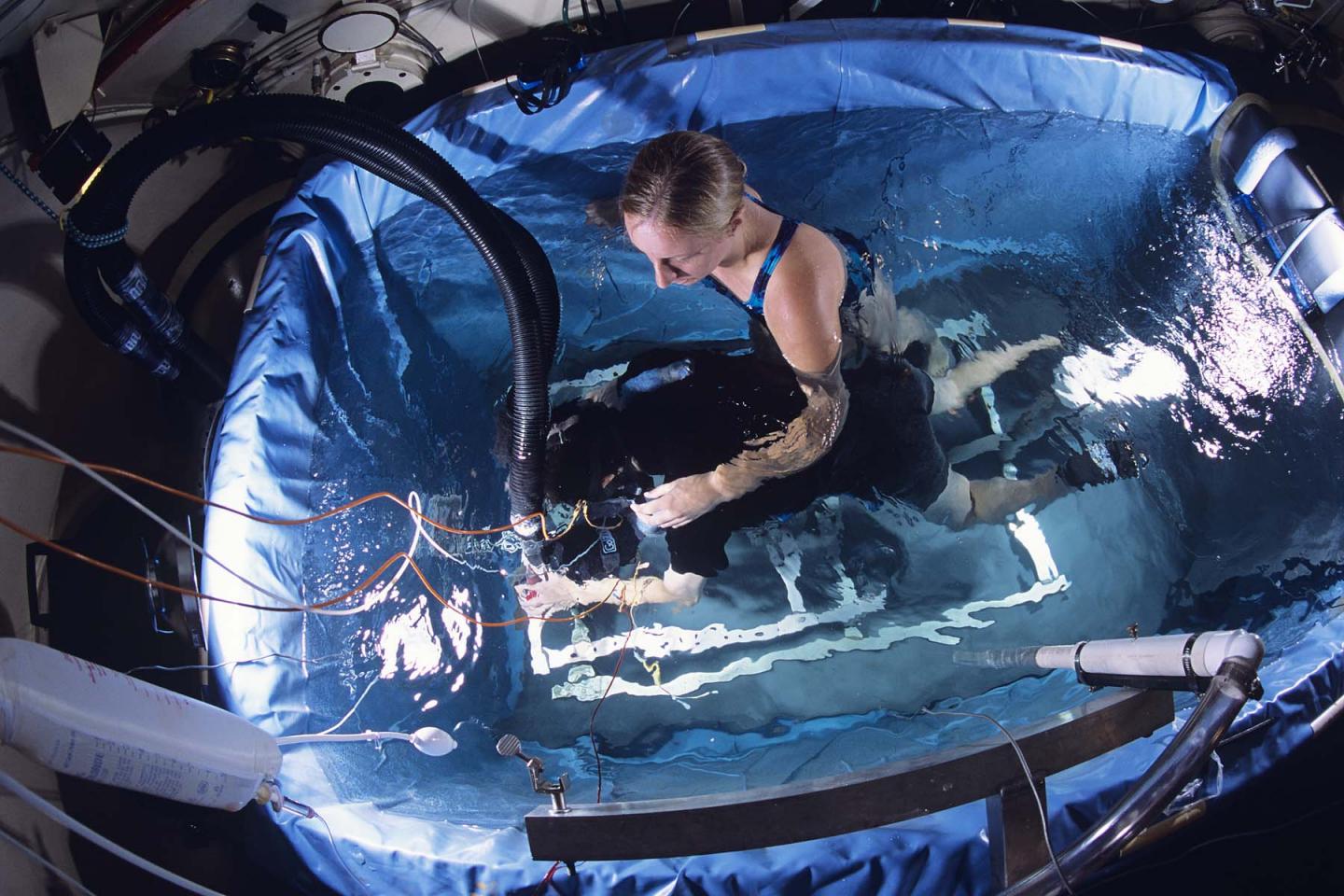 Study Suggests Sildenafil May Relieve Severe Form of Edema in Swimmers