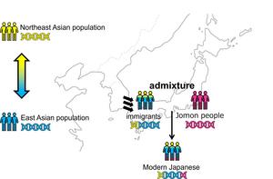 The roots of immigration to the Japanese Archipelago