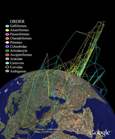 Google Earth Technology to Track Avian Flu