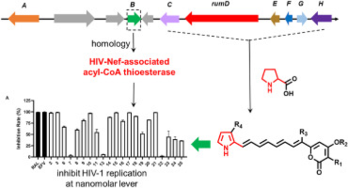 Figure 1 [IMAGE] | EurekAlert! Science News Releases