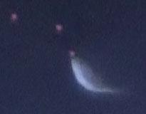 Stickleback attacking a virtual prey.