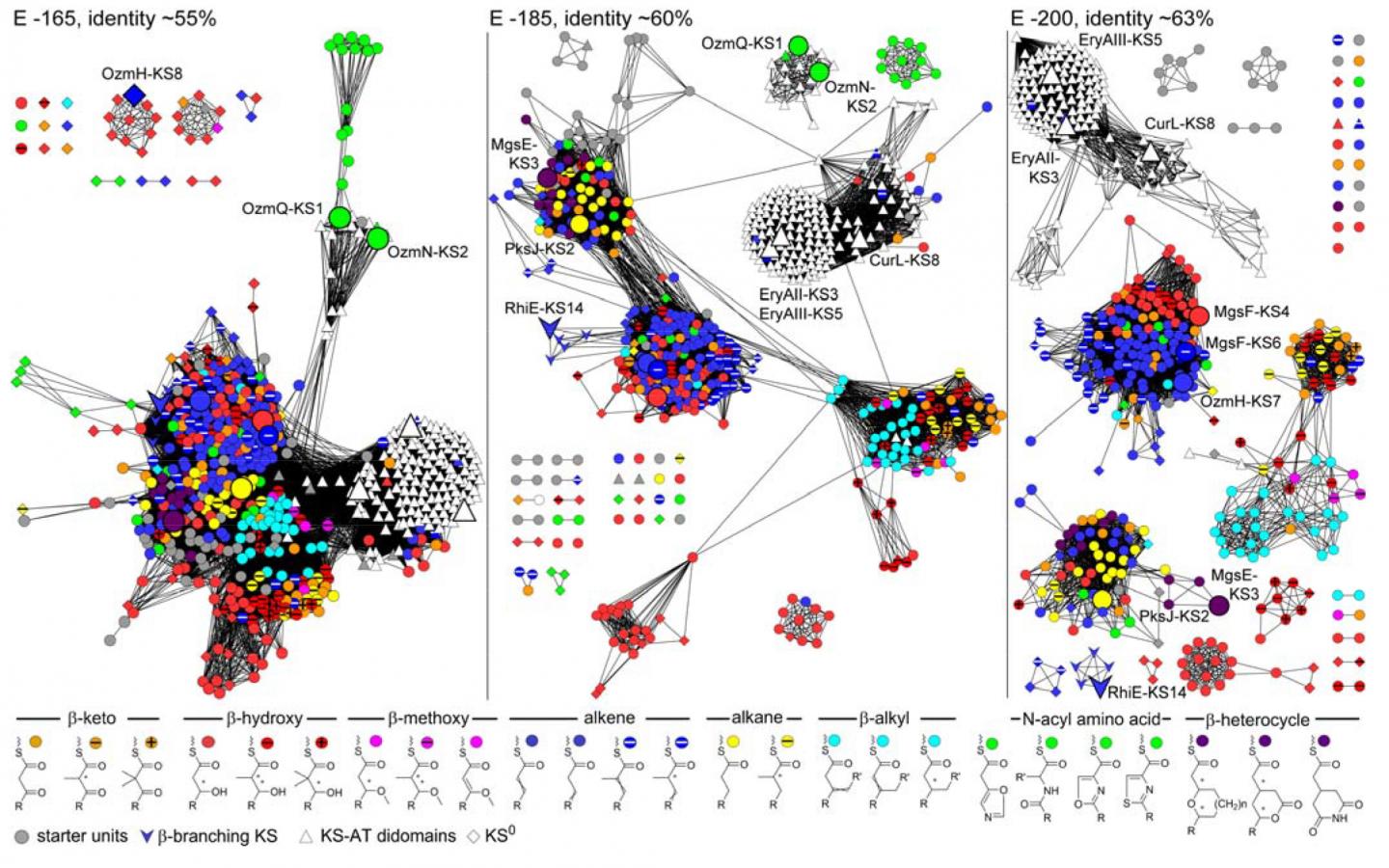 Researchers at Argonne, Scripps Resarch Institute and Rice University insights