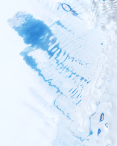 Meltwater lake in East Antarctica observed from the Landsat 8 satellite.