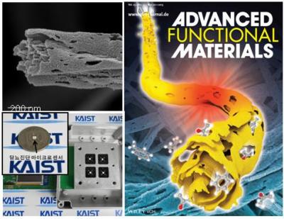 Thin-Wall Assembled SnO2 Nanotubes And Exhaled Breath Sensors