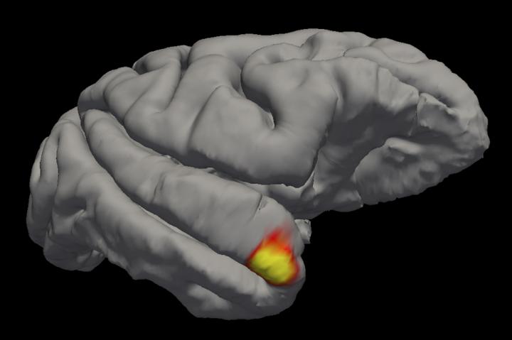 Memory Neuron Cells