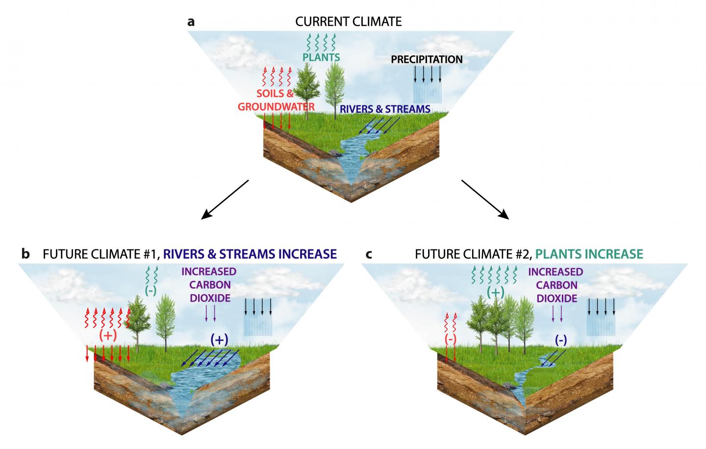 Allocation of Water in the Current Climate and Two Future Climates with High Carbon Dioxide