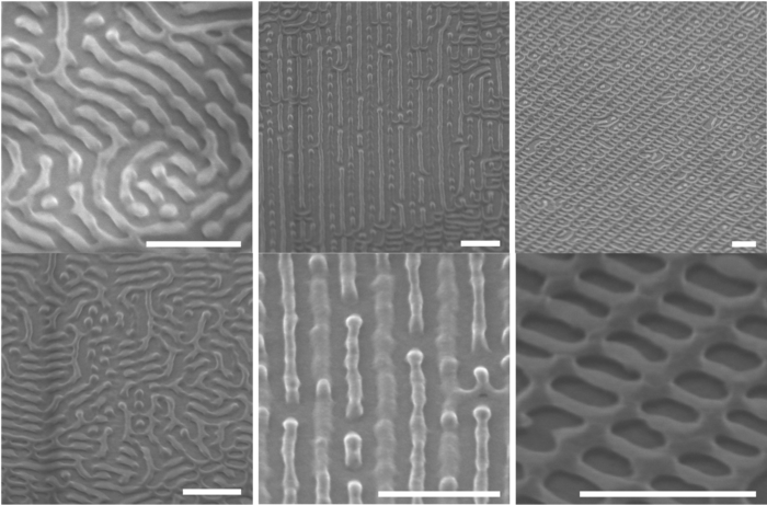 SEM Images of New Nanostructures
