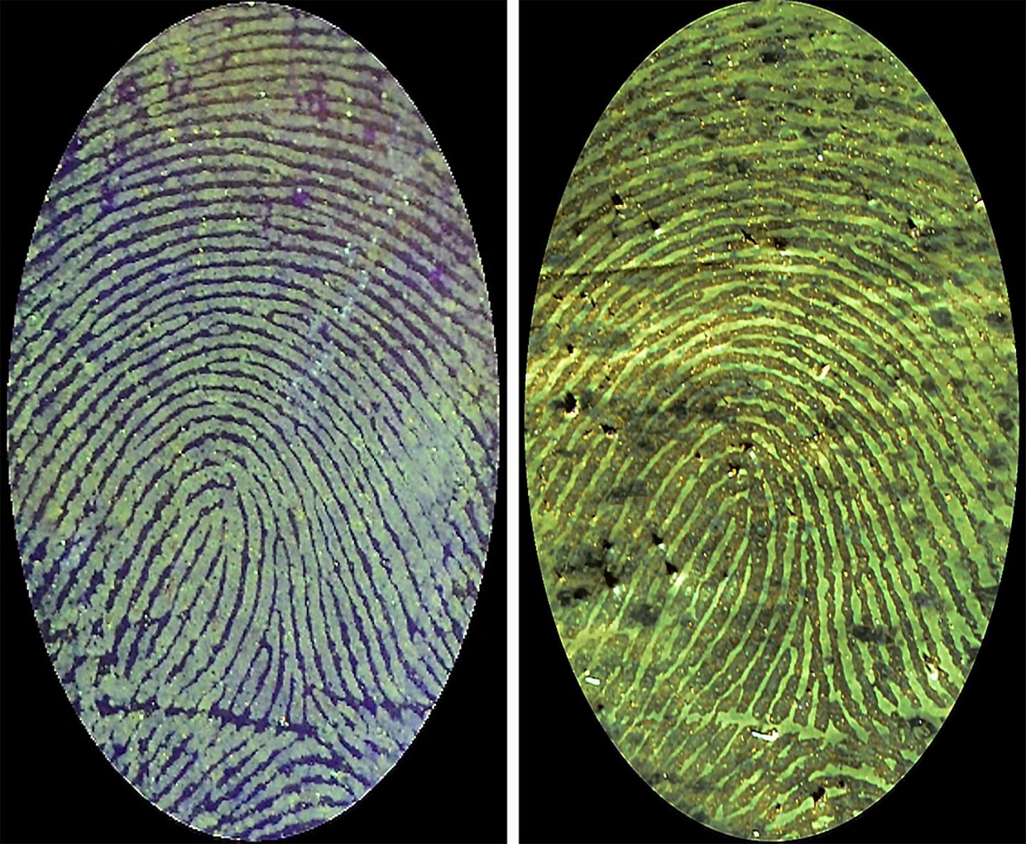 Illuminating invisible bloody fingerprints with a fluorescent polymer