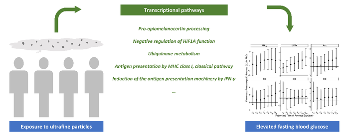 Figure 2. Transcripts significantly associated with UFPs exposure and elevated FBG.