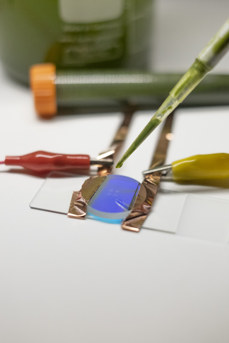 NTU Singapore scientists discover method to boost energy generation from microalgae