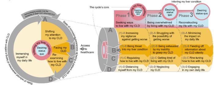 Adjustment of patients with CLD during continued HCC surveillance