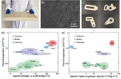 Sustainable structural material for plastic substitute