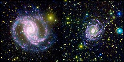 Star-Birth Myth 'Busted'