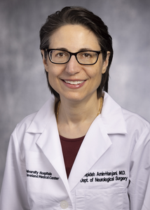 Sepideh Amin-Hanjani, MD,