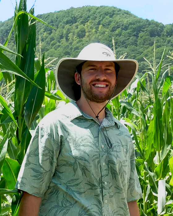 Harry Klein in the maize field.