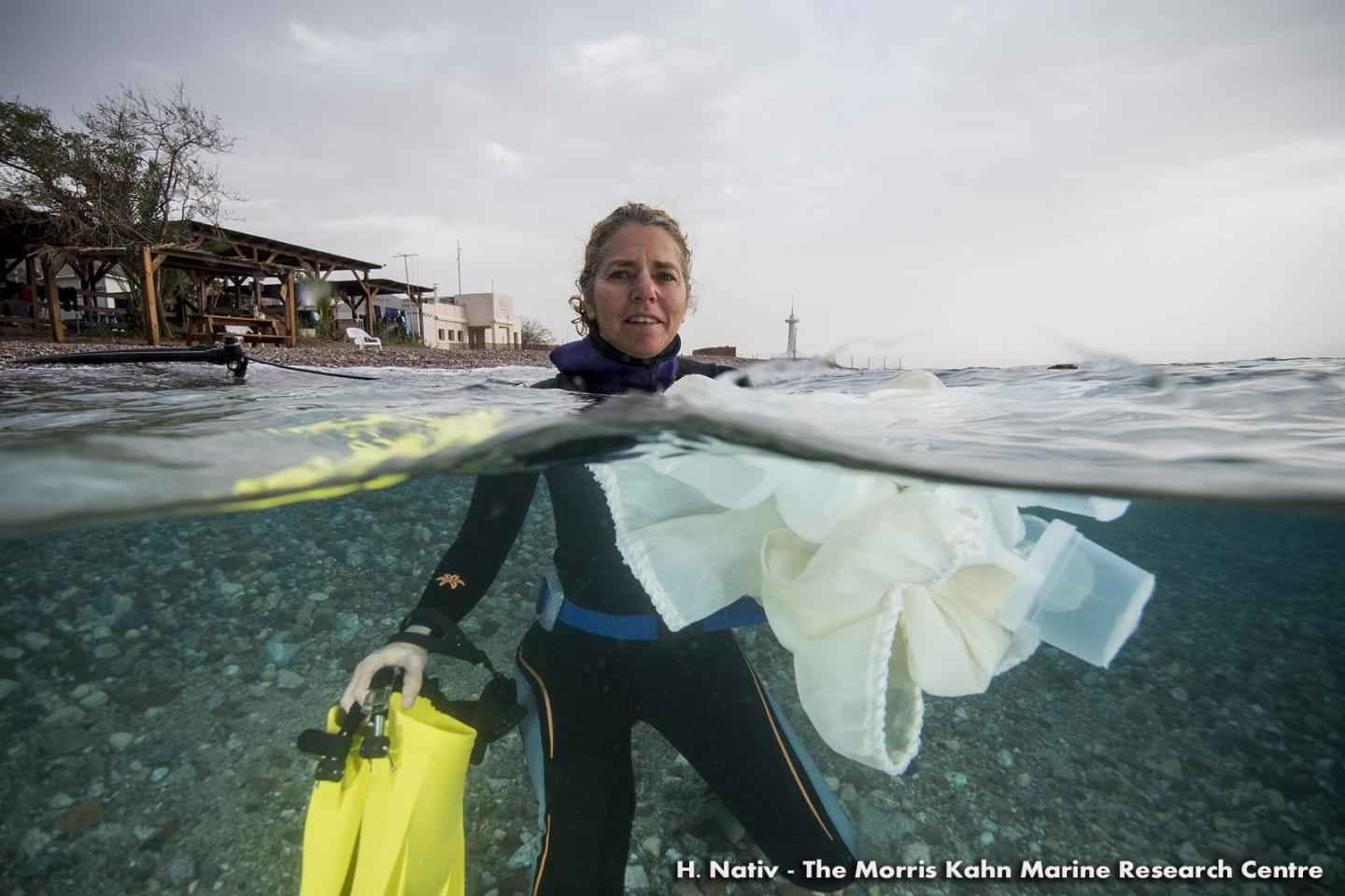 Dr. Tali Mass,  Bar-Ilan University 