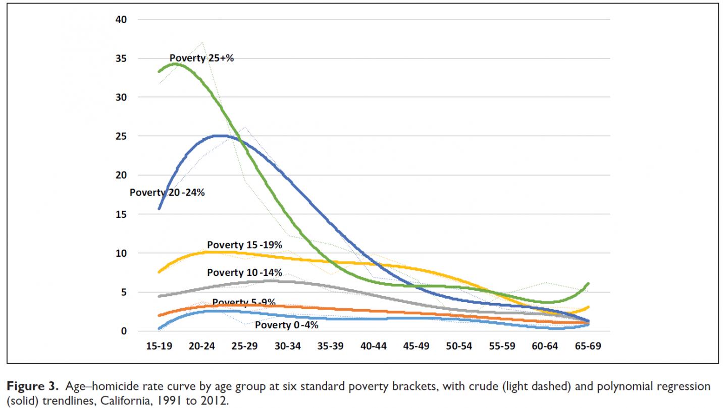 Age-Homicide Rate Curve