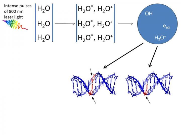 DNA Damage Caused by Very Low-energy Particles