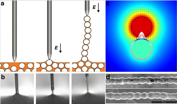 Colloidal Chain Pulled from Dispersion