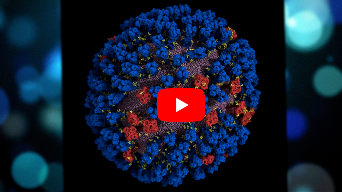 How proteins on influenza viruses tilt, ‘breathe’