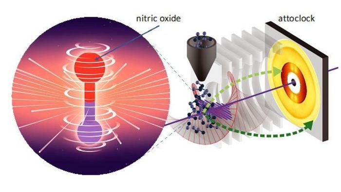 Observing the Coherent Motion of Electrons with an Attosecond Stopwatch